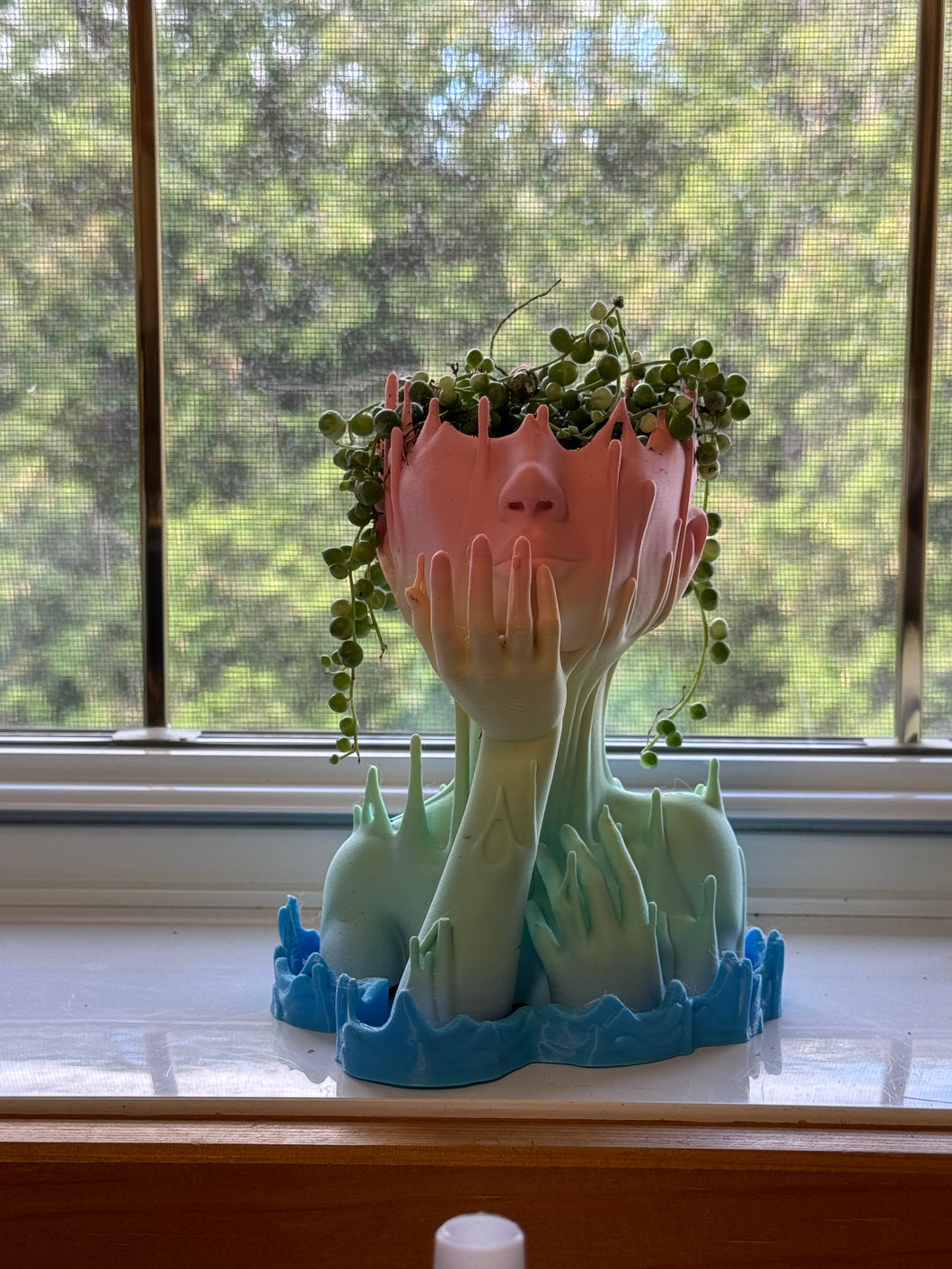 Melted lady planter